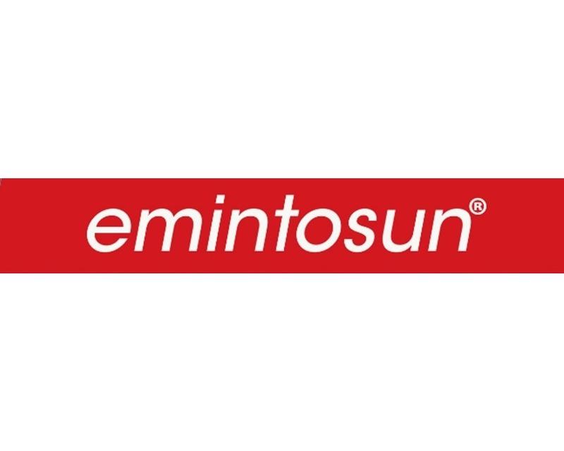 Emintosun's logo