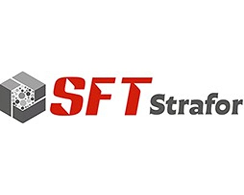 stf's logo