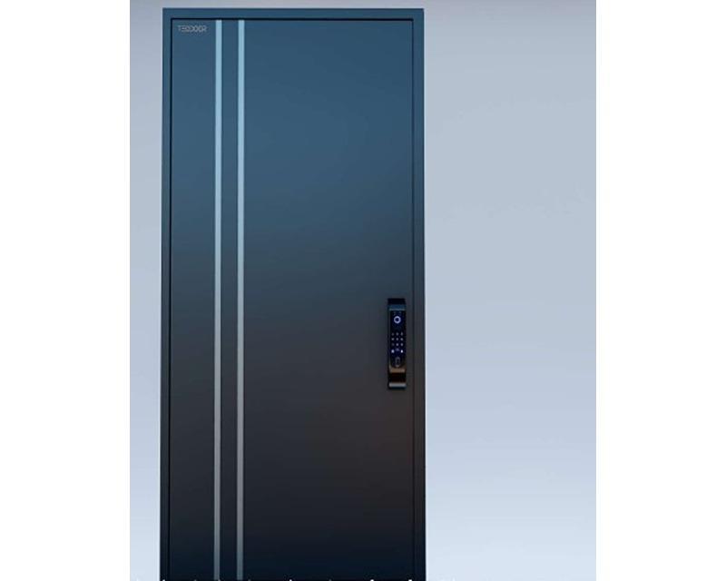 Aluminum Surface Door (Artemis)